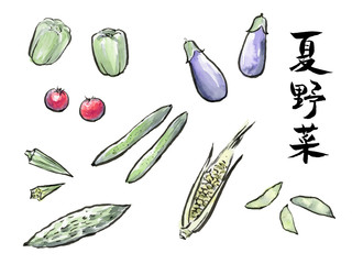 夏野菜　墨絵　セット
