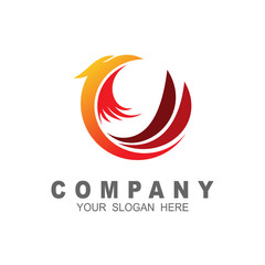 Obraz premium Falcon design template. Eagle circle logo, art vector design