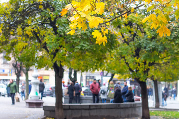 People walk and relax in the city park in the fall_