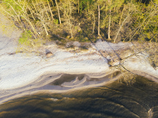 Aerial view of a sandy beach and forest trees