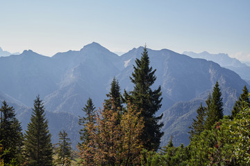 Mountain peaks visible through the trees on a good summer day