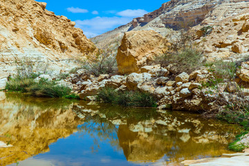 Fototapeta na wymiar The canyon slopes are reflected in the water