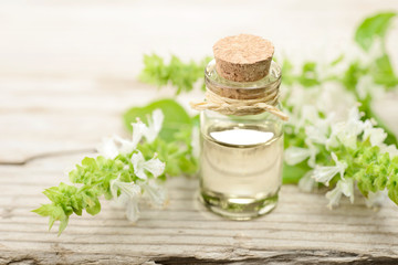 basil essential oil in the glass bottle, with fresh flowers, on the wooden board