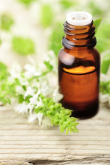 Basil essential oil in the glass bottle, with fresh basil flowers, on the wooden board