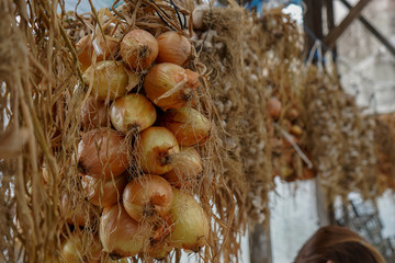 Delicious organic agricultural of onions