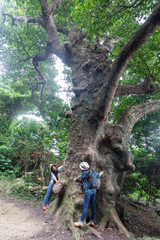 Fototapeta premium 沖縄を旅する二人の女性