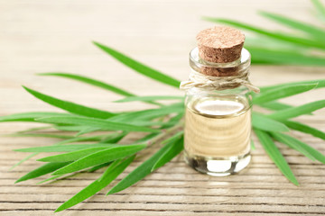 Tea tree essential oil in the galss bottle, on the wooden board