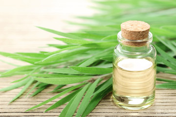 Tea tree essential oil in the galss bottle, on the wooden board