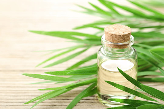 Tea tree essential oil in the galss bottle, on the wooden board