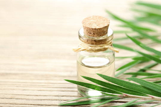 Tea tree essential oil in the galss bottle, on the wooden board