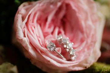 Bridal Ring, Diamond Rings, Wedding Preparation
