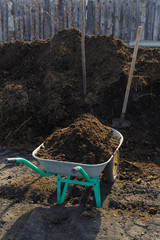 Garden metal trolley with humus and a large pile of humus. The best ecological natural fertilizer for young seedlings