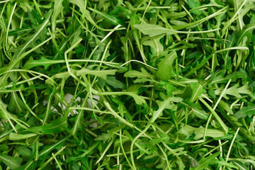 Fresh leaves of arugula as background.