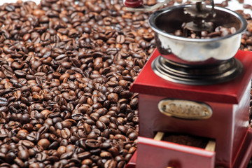 Photograph the coffee beans in detail