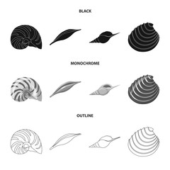 Vector design of animal and decoration sign. Set of animal and ocean vector icon for stock.