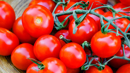 Trusses of tomatoes macro view. Fresh antioxidant rich cherry tomatoes bunch. Trinomial name for this vegetable is Solanum lycopersicum