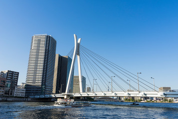 Fototapeta na wymiar 隅田川の風景　中央大橋