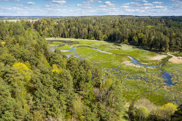 Fototapeta na wymiar Lake and forest in Kazdanga, Latvia.