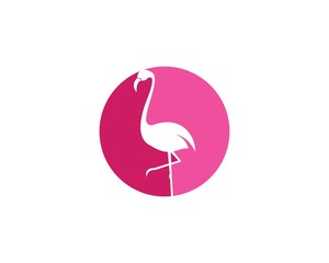 Flamingo logo ilustration vector