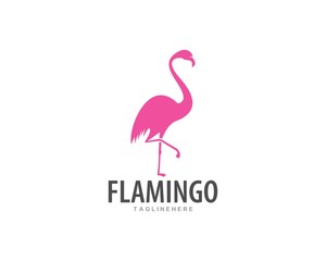 Flamingo logo ilustration vector