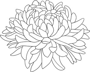 flower coloring page 2