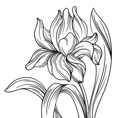 flower decorative coloring page