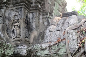 Fototapeta na wymiar Cambodia Angkor Ta Prom Apsara Bas Relief