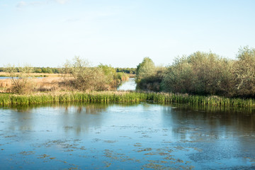 small lake and water channel overgrown with reeds and grass