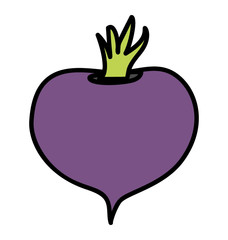 Root vegetable with various health benefits, turnip icon