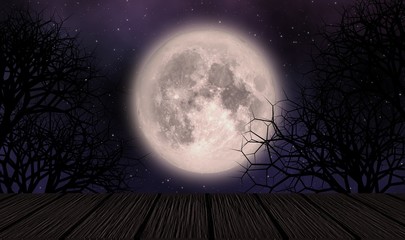 Fototapeta na wymiar Full moon and creepy trees