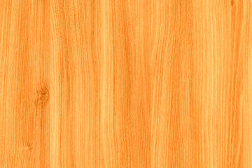 acacia timber tree wooden surface wallpaper structure texture background