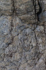 rock7