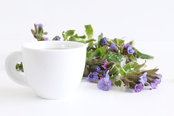 Herbal tea from Pulmonaria officinalis for herbal medicine and the flowers on white wood background. . Minimalism. Beautiful spring wildflowers . Edible ,healthy .