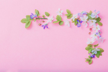 Obraz na płótnie Canvas white and blue flowers on pink paper background