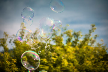 Flying soap bubbles