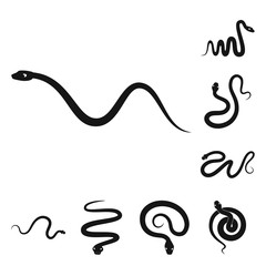 Vector illustration of nature and medicine logo. Collection of nature and evil stock vector illustration.