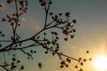 Sonnenuntergang in Cortona
