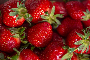 Fresh spring strawberry, organic berries from farm