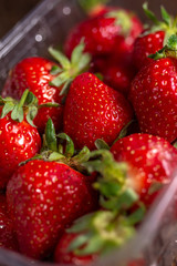 Fresh spring strawberry, organic berries from farm
