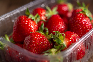 Fresh spring strawberry, organic berries from farm