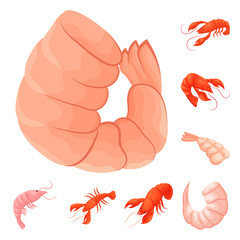 Isolated object of shrimp and crab icon. Set of shrimp and sea stock symbol for web.