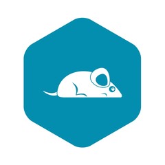 Fototapeta premium Pet mouse icon. Simple illustration of pet mouse vector icon for web