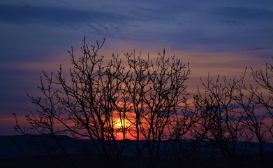 the sunset between the trees on the hill