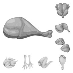 Isolated object of cuisine and bird  symbol. Collection of cuisine and poultry stock vector illustration.