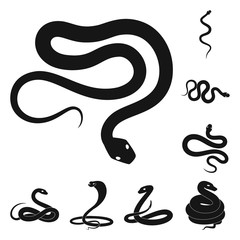 Vector illustration of nature and medicine icon. Collection of nature and evil stock vector illustration.