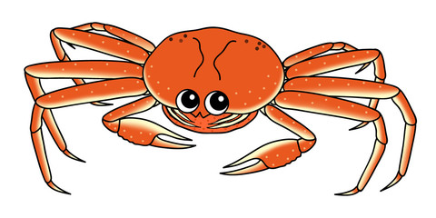 蟹 イラスト