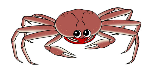 蟹 イラスト