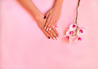 Stylish trendy female white, black and blue manicure. Beautiful young woman's hands on pink and white background.