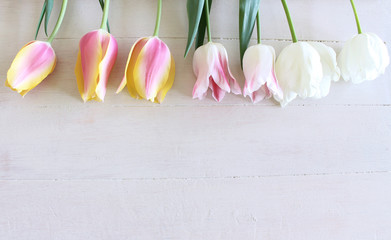 Styled stock photo. Spring feminine scene, floral composition. Bunch of beautiful tulips on white background. Flat lay, top view.Empty space for your text. Spring greetings card with tulips .