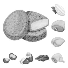 Vector illustration of cuisine and bird  symbol. Collection of cuisine and poultry stock symbol for web.